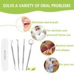 1746785065 dental tools professional teeth cleaning oral care hygiene kit stain.jpg