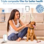 1746804902 plug in air ionizers negative ion technology air purifier quiet op.jpg