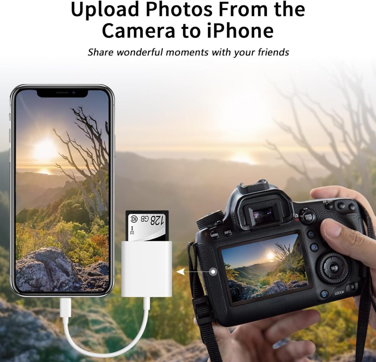 1746822202 sd card reader for iphone ipad cameradual card slot memory card reade.jpg