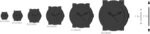 1746828250 anne klein womens leather strap watch.jpg