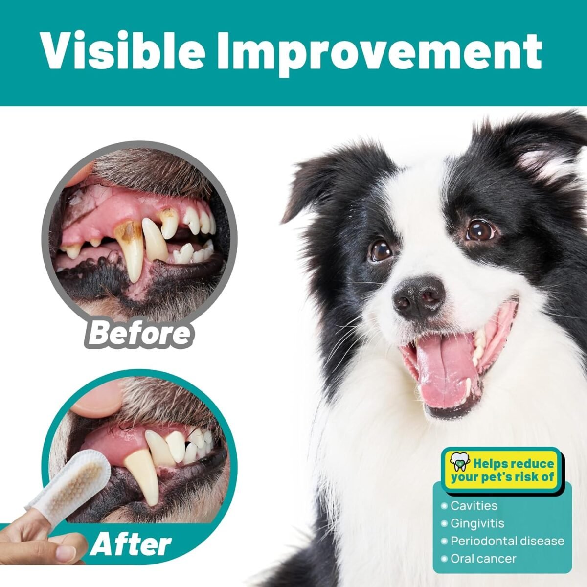1747425115 dog dental care finger wipes teeth cleaning finger wipes for dog c.jpg