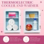 1747511351 paris hilton mini refrigerator and personal beauty fridge mirrored do.jpg