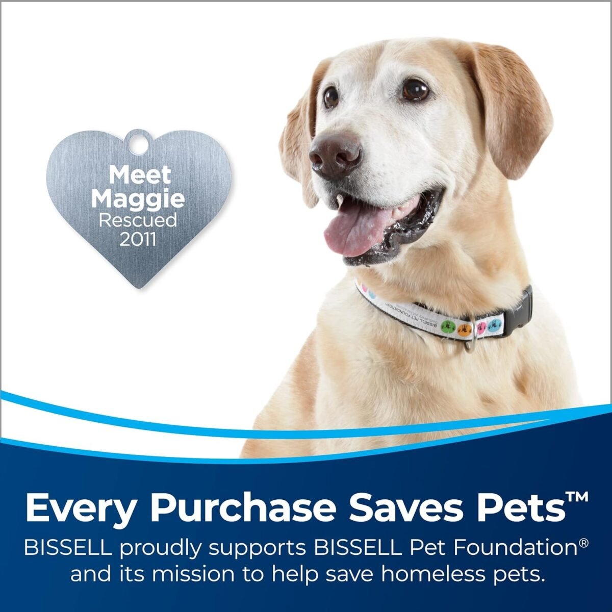1747514683 bissell cleanview upright bagless vacuum cleaner with active wand 353.jpg