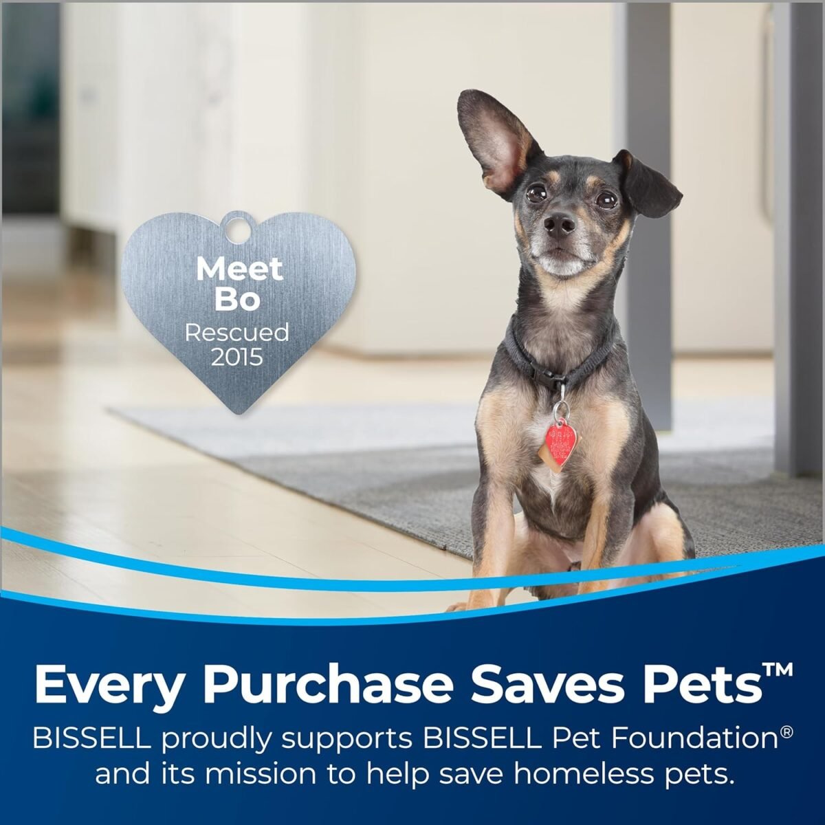 1747861198 bissell cleanview swivel rewind pet reach vacuum cleaner with quick r.jpg