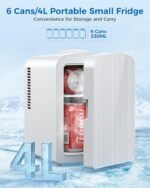 1747943753 4l6 cans mini fridge portable compact refrigerator small skin care.jpg