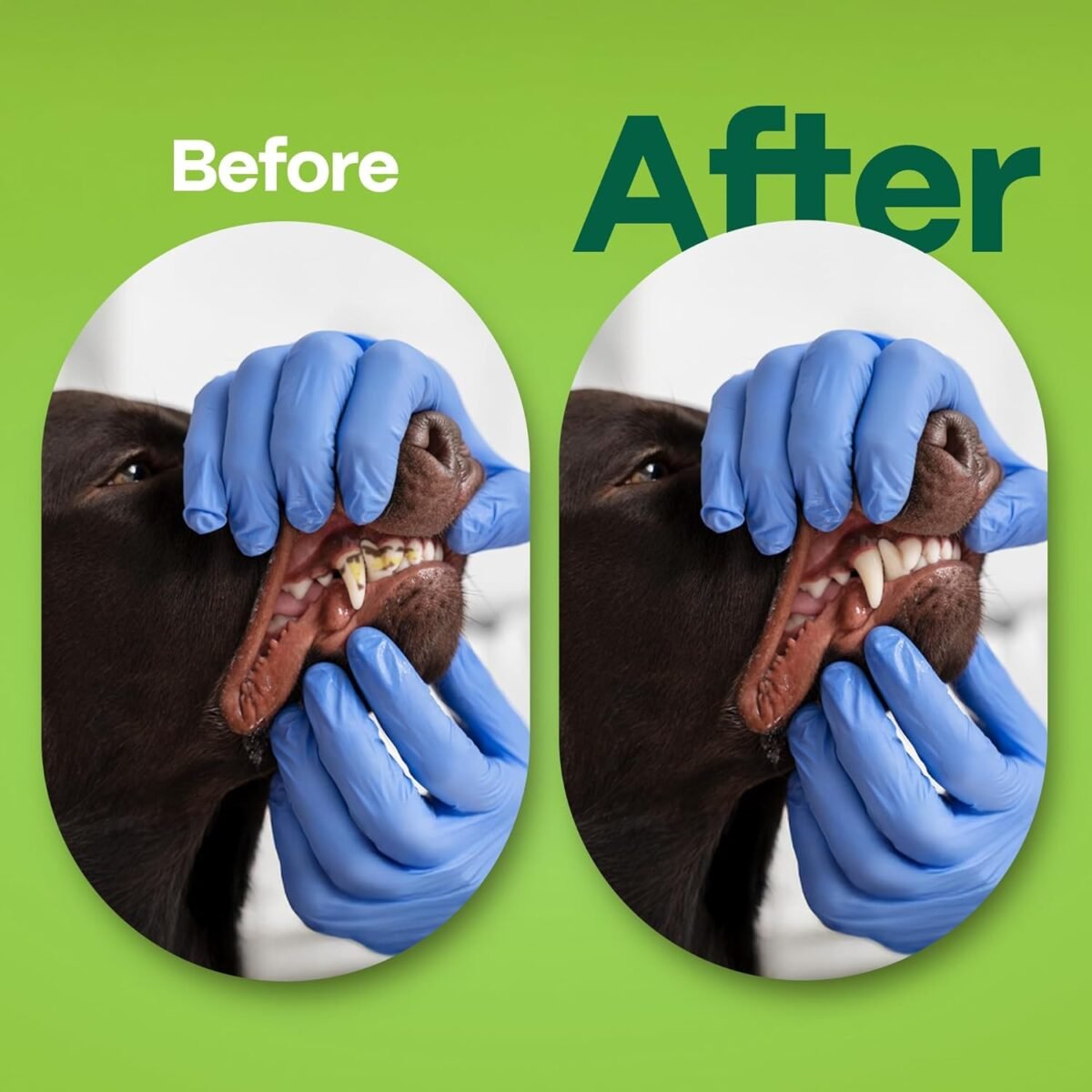 1748204111 dog teeth cleaning wipes coconut grapefruit flavor dental finger wip.jpg