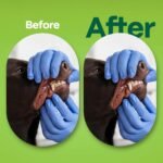 1748204111 dog teeth cleaning wipes coconut grapefruit flavor dental finger wip.jpg