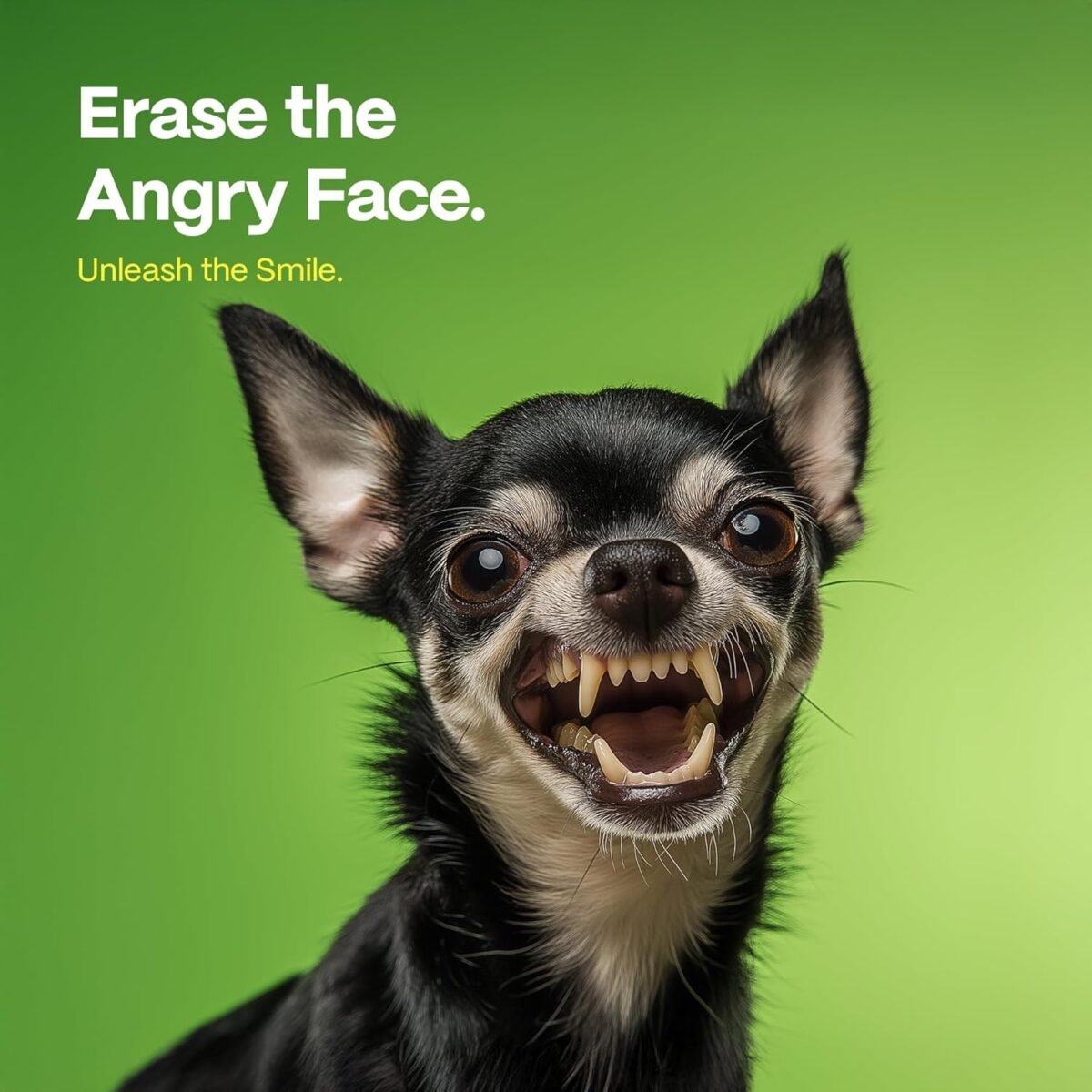 1748204114 dog teeth cleaning wipes coconut grapefruit flavor dental finger wip.jpg
