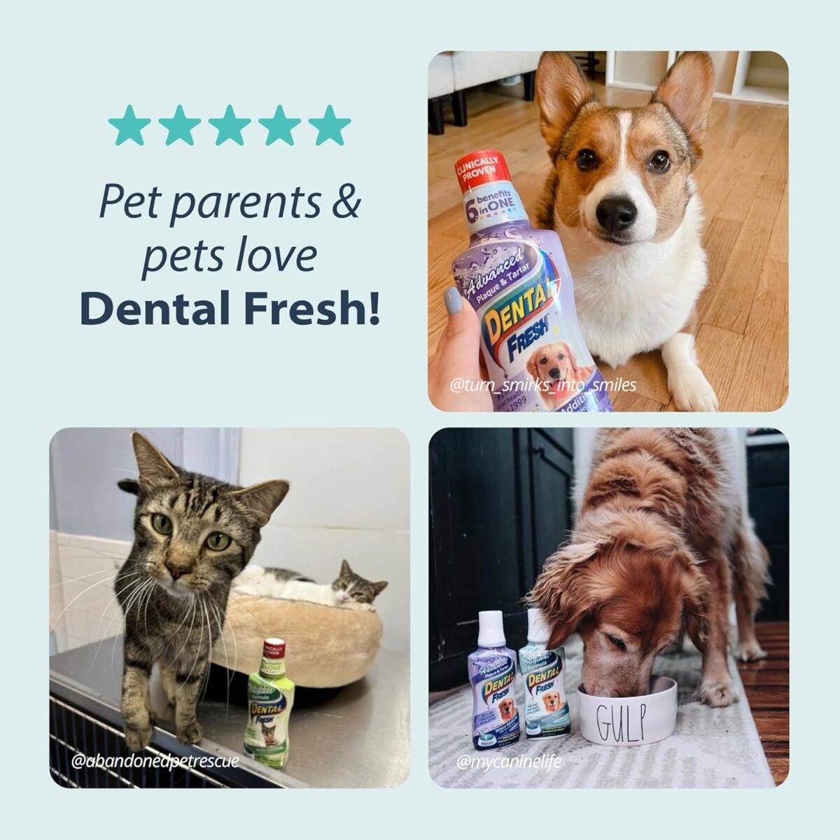 1749502611 dental fresh water additive for dogs original formula 64oz – dog bre.jpg