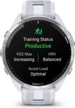 1749653483 garmin forerunner® 965 running smartwatch colorful amoled display tr.jpg