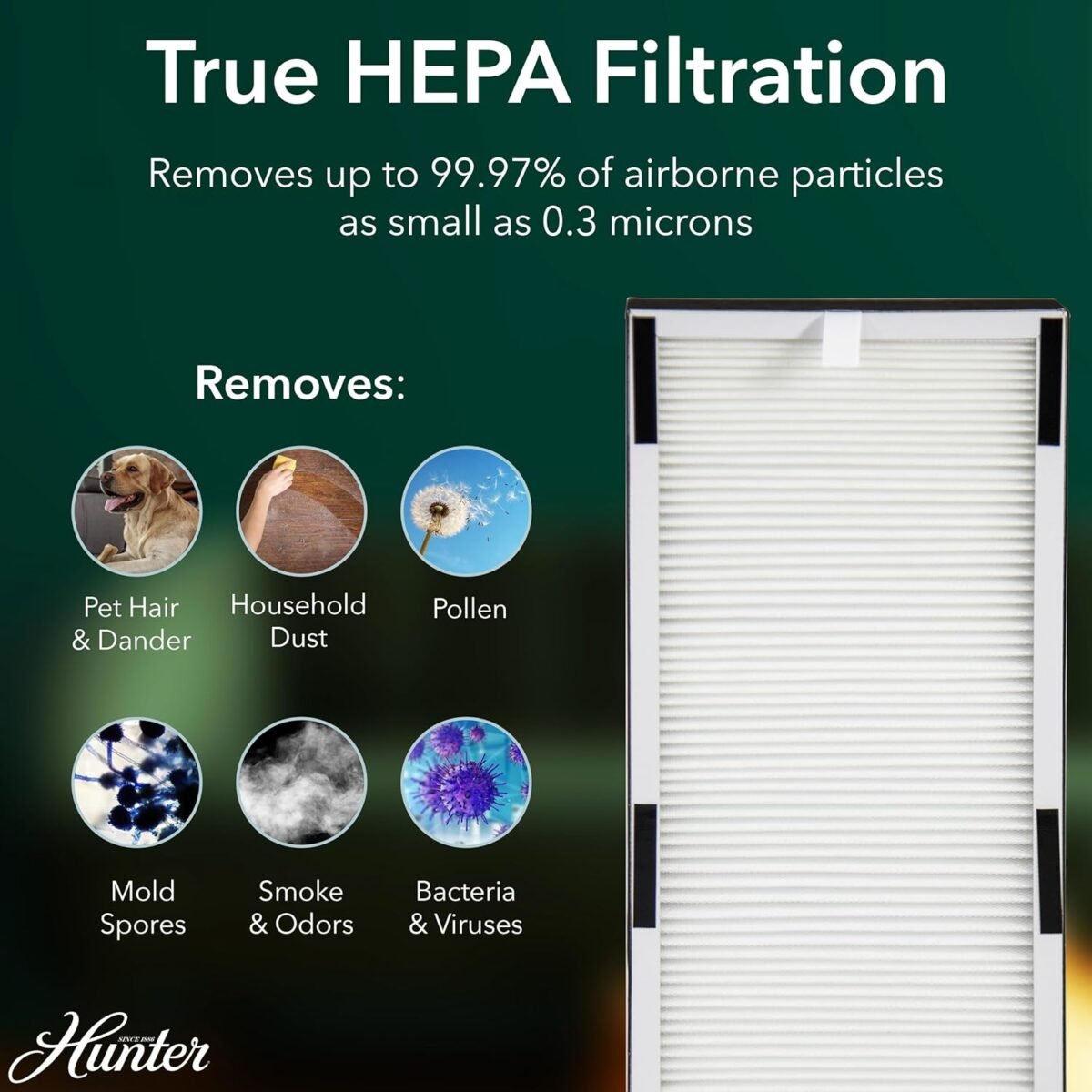 1749673987 hunter air purifiers for home large room and bedroom. true hepa air pu.jpg