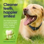 1749762264 dog teeth cleaning powder dog plaque and tartar remover bad breath t.jpg