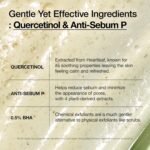 1749848980 anua heartleaf quercetinol pore deep cleansing foam facial cleanser.jpg