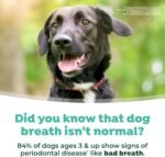 1751061156 tropiclean fresh breath water additive for dogs dog breath freshener.jpg