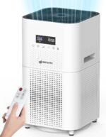 Air purifiers for home large room up to 3000 sq ft upgraded h14 ture.jpg