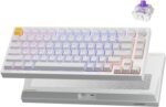 P1 he 75 wireless custom mechanical gaming keyboard with gateron doub.jpg