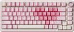 Yunzii b75 pro wireless mechanical keyboard75 layout with knobhot s.jpg