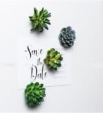 1751665910 cocome funny 3d resin succulent fridge refrigerator magnets set of 4.jpg