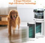 1751865304 airromi air purifier for bedroom with hepa 3 in 1 filter pet air puri.jpg