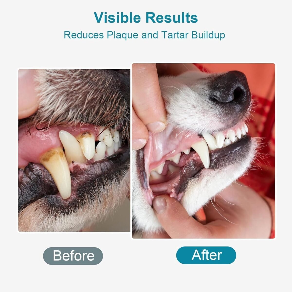 1752446459 dog teeth cleaning powder 100g fights plaque tartar freshens breath.jpg