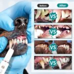 1752705870 dog plaque tartar remover electric toothbrush teeth cleaner dental ca.jpg