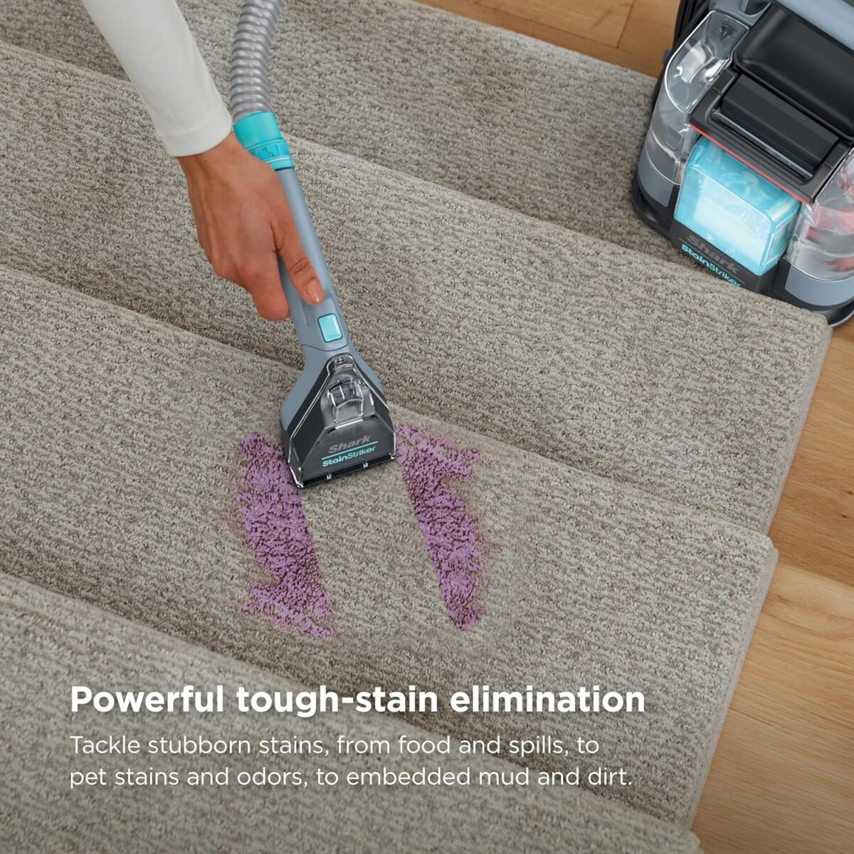 1752969756 shark stainstriker portable carpet upholstery area rug cleaner bonu.jpg