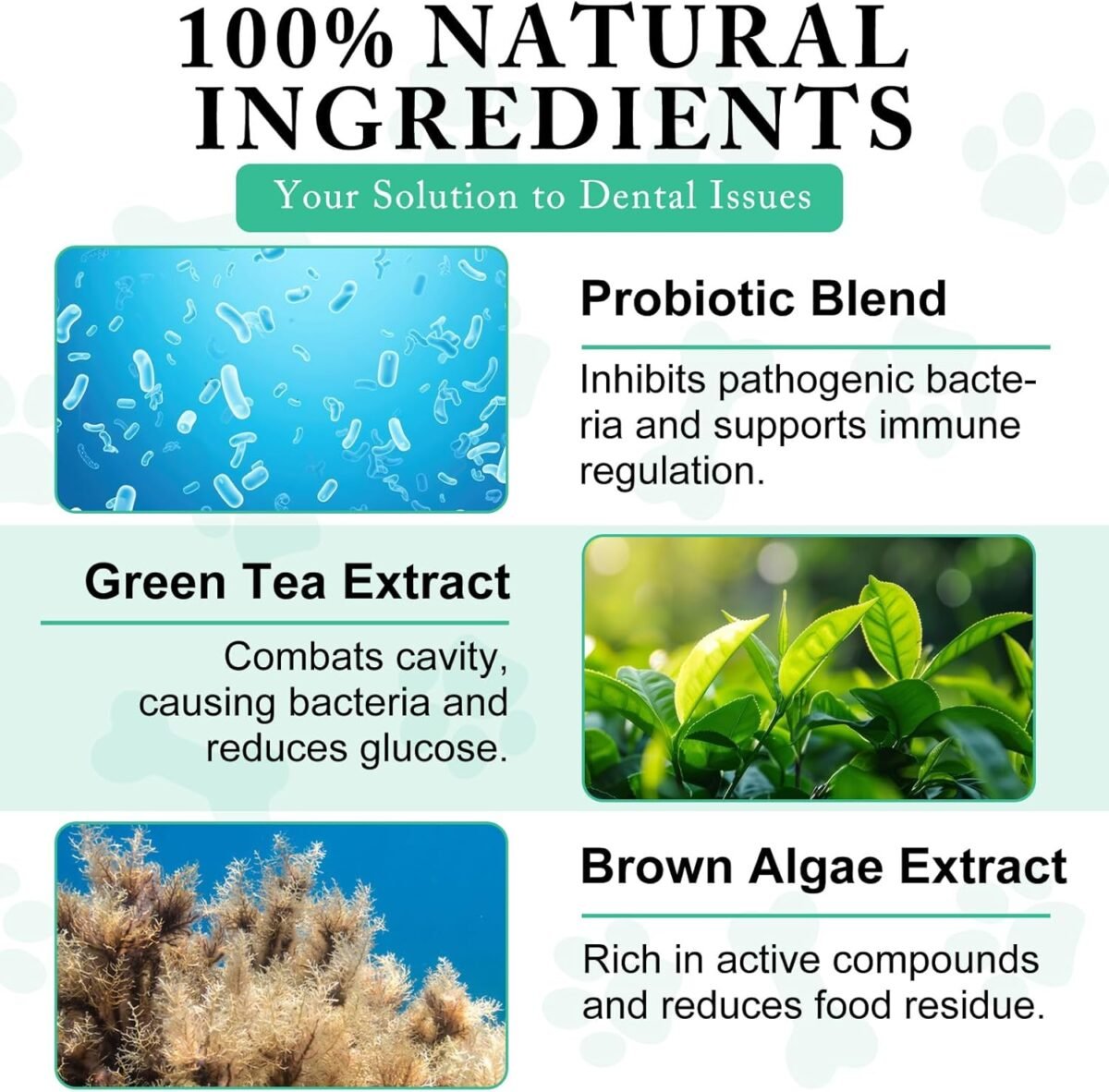 1753657862 dog dental powderpet dental powderteeth cleaning powder for dogsden.jpg