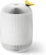 Clair air purifier for home bedroom covers up to 1071ft² h13 true h.jpg