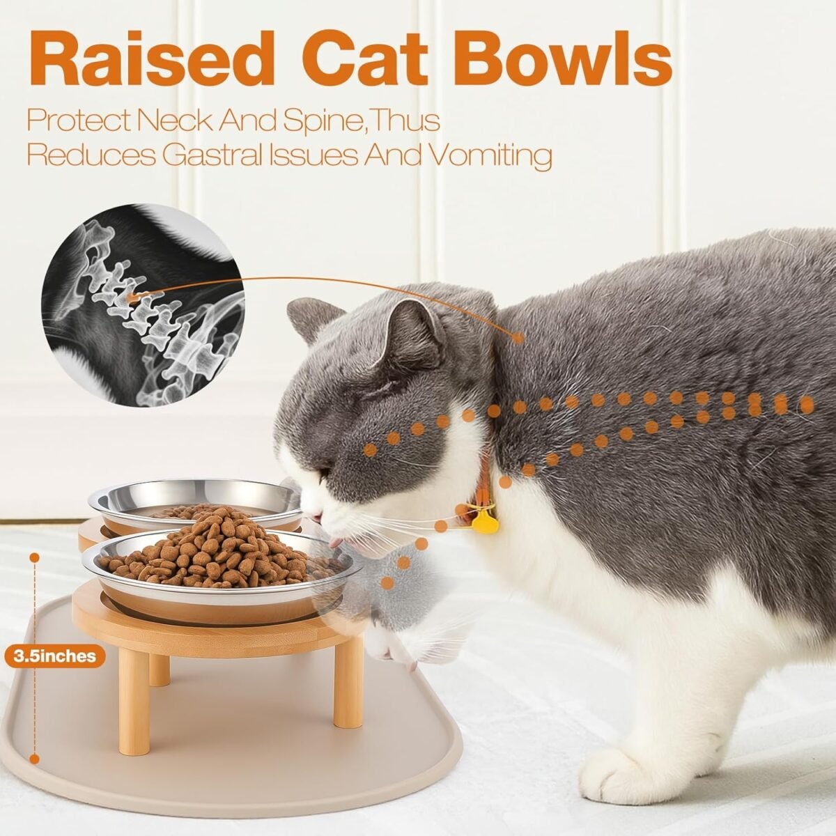 1754103135 elevated cat bowls with food mat6.3 inches shallow raised bowls whisk.jpg