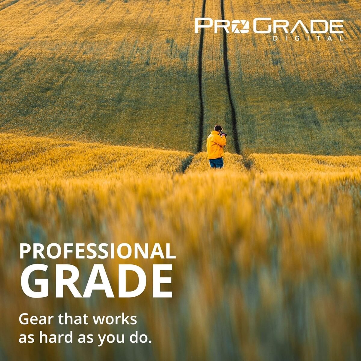 1754361409 sd uhs ii dual slot memory card reader by prograde digital usb 3.2 g.jpg