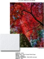1754458004 ilford galerie 5x7 100 sheets satin photo with lustre surface inst.jpg