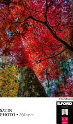 1754458005 ilford galerie 5x7 100 sheets satin photo with lustre surface inst.jpg