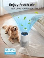 1754806520 air purifiers for home pets effectively filter pet hair odor dander a.jpg