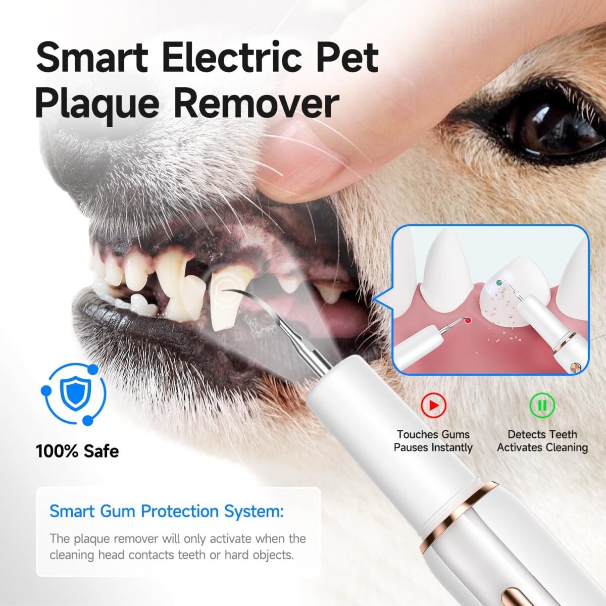 1755302268 electric dog plaque tartar remover pet teeth cleaning kit with led.jpg