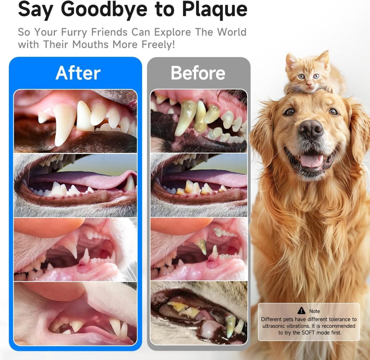 1755302269 electric dog plaque tartar remover pet teeth cleaning kit with led.jpg