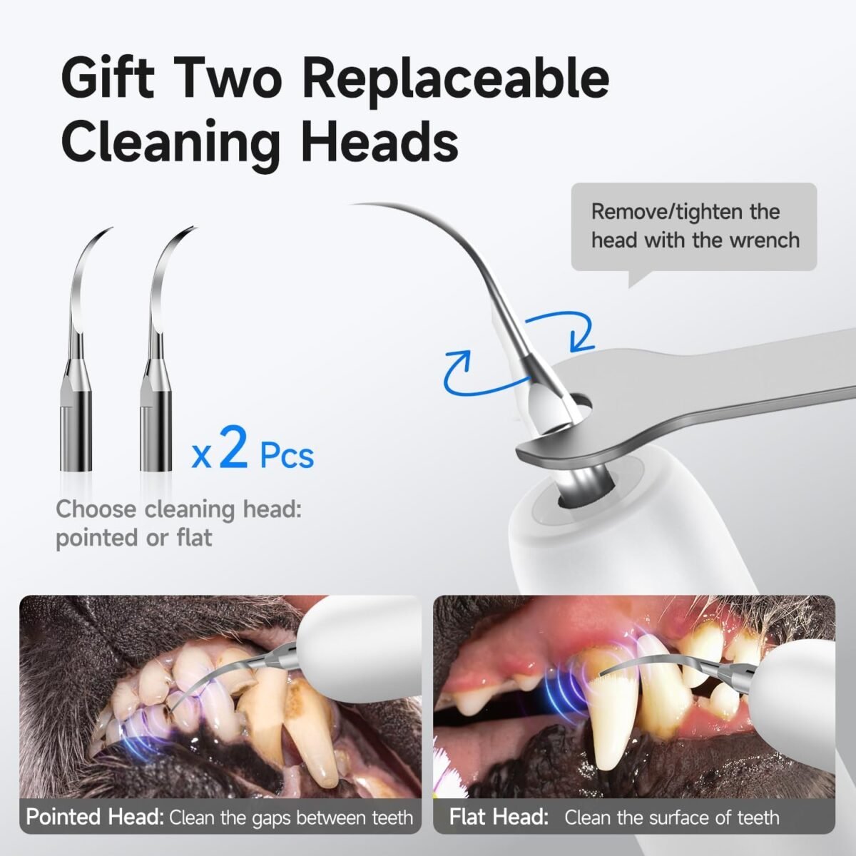 1755302270 electric dog plaque tartar remover pet teeth cleaning kit with led.jpg
