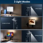 1755392825 quntis monitor light bar with remote 20.1 dual light screen light b.jpg