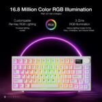 1755841039 tecware spectre 75 rgb mechanical gaming keyboard with customizable l.jpg