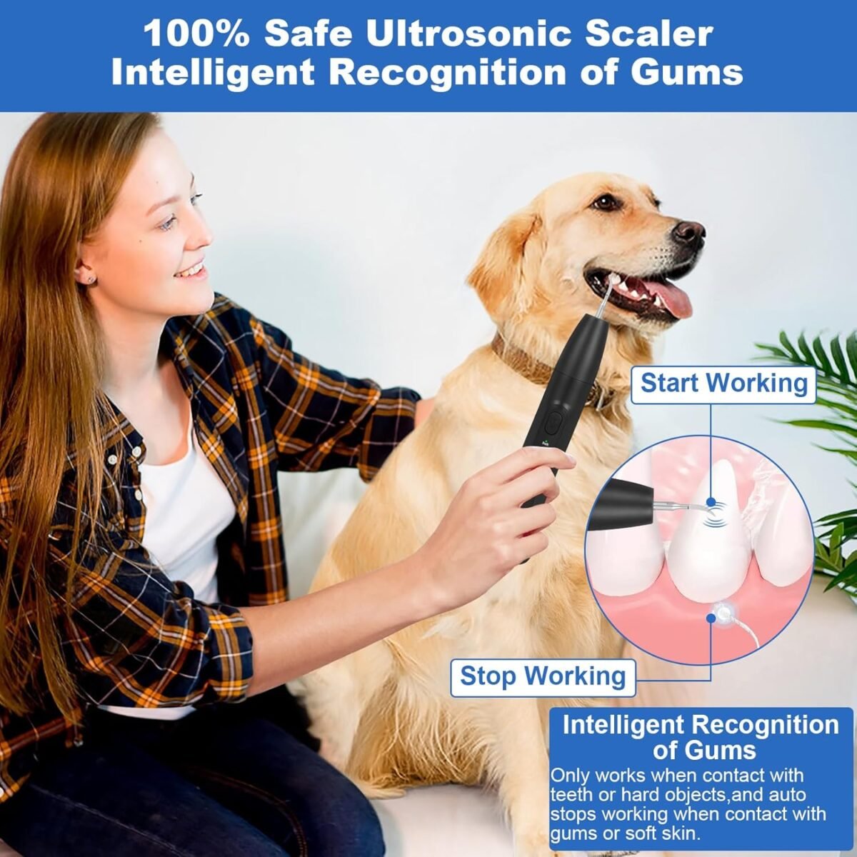 1755908545 dog tooth brushing kitdogs teeth cleaning kit with light3 modes dogg.jpg
