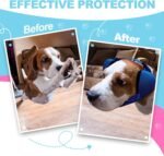 1756401074 prohear dog ear muffs hearing protection for dogs nrr 28db noise canc.jpg