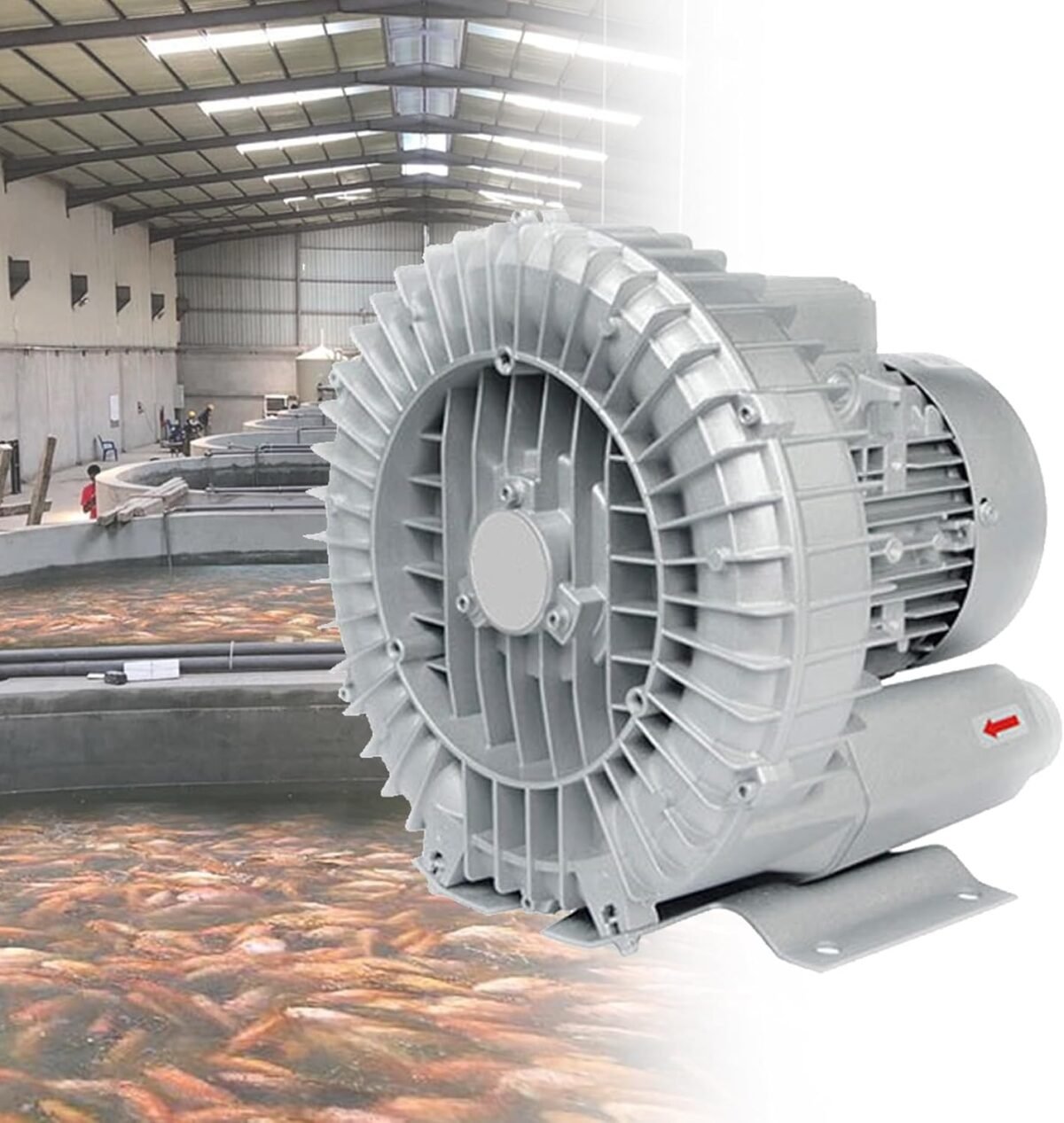 220v380v aeration oxygenation machine for fish ponds pools industr.jpg