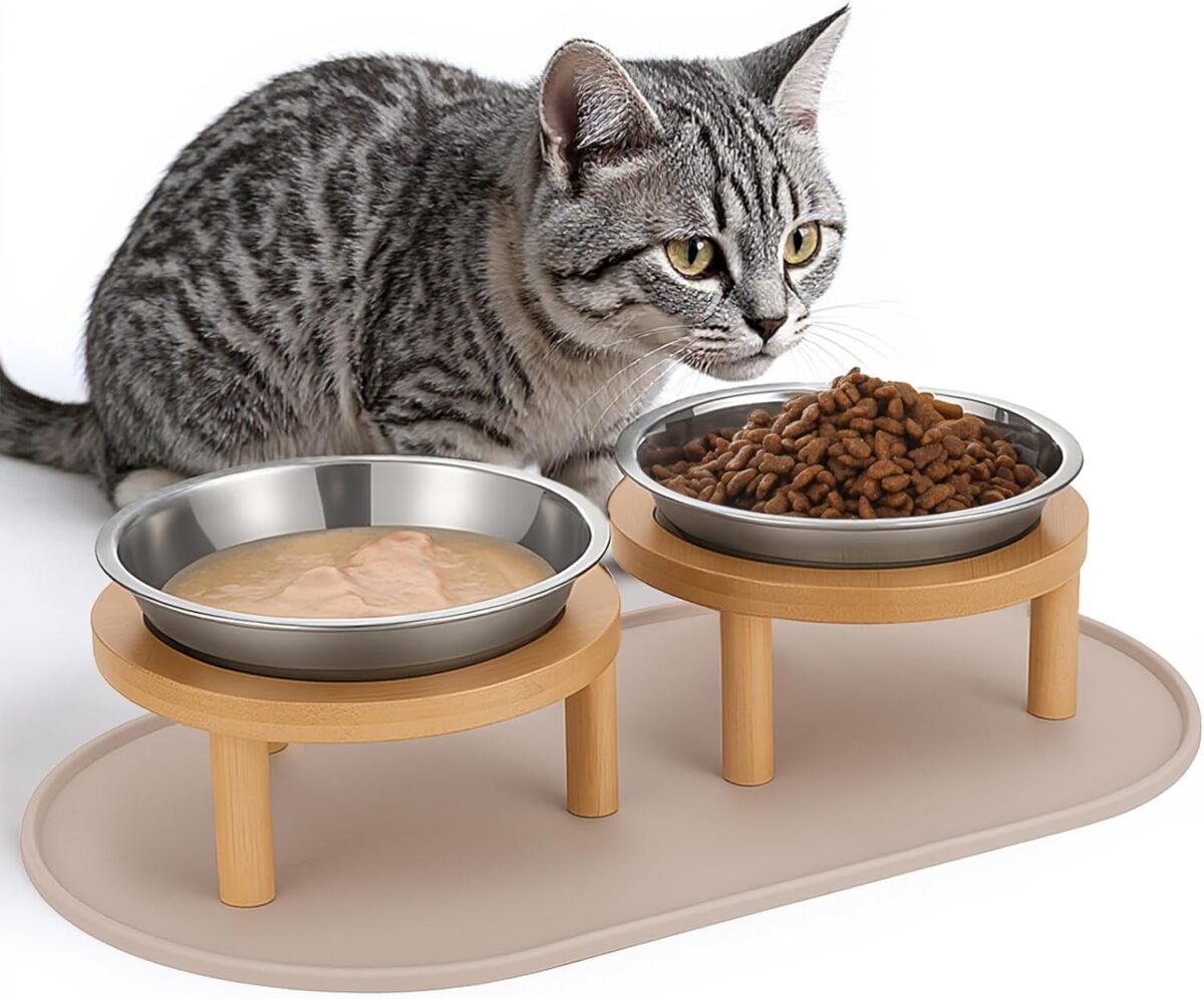 Elevated cat bowls with food mat6.3 inches shallow raised bowls whisk.jpg