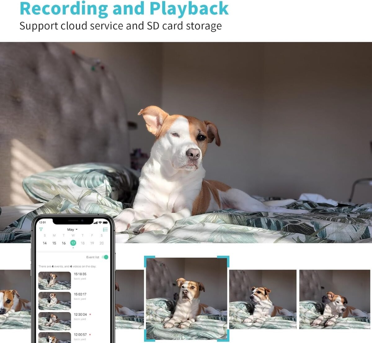 1756693528 pet camera 2k hd dog camera with phone app 360° pantilt view puppy.jpg