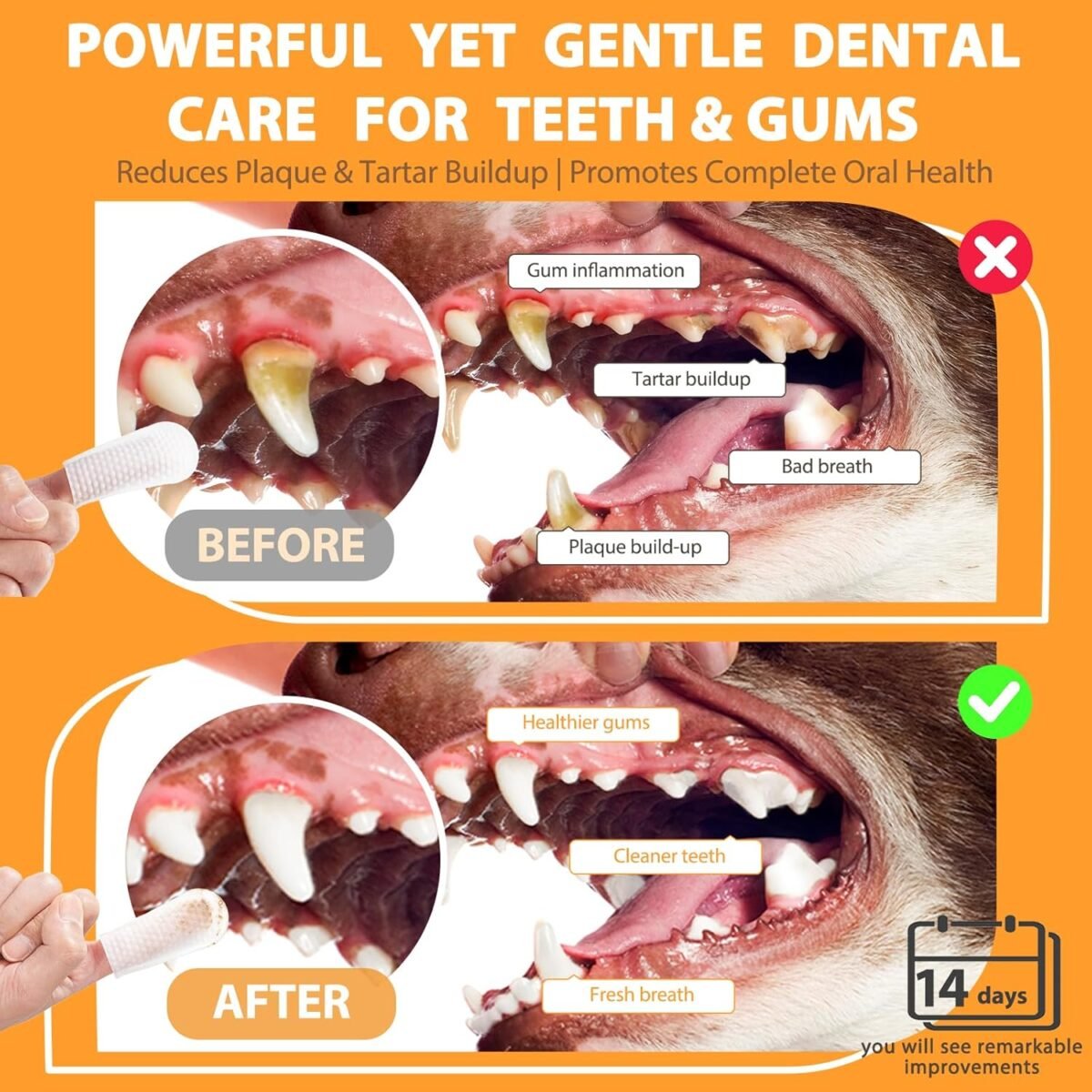 1756860192 pet dental finger wipes for dogs and cats dog teeth cleaning wipes d.jpg