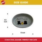 1756872587 spot best friends oval cat food dish ceramic plate with low edges s.jpg