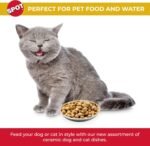 1756872590 spot best friends oval cat food dish ceramic plate with low edges s.jpg