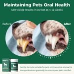 1757119638 dog dental powder plaque off pet tooth cleaning lab co bad breath.jpg