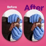 1757292660 doco dog teeth cleaning wipes dental finger wipes for cats dogs remo.jpg