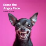 1757292663 doco dog teeth cleaning wipes dental finger wipes for cats dogs remo.jpg