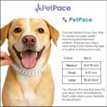 1757473321 ai health monitor gps tracker for dogs track heart rate pain anx.jpg